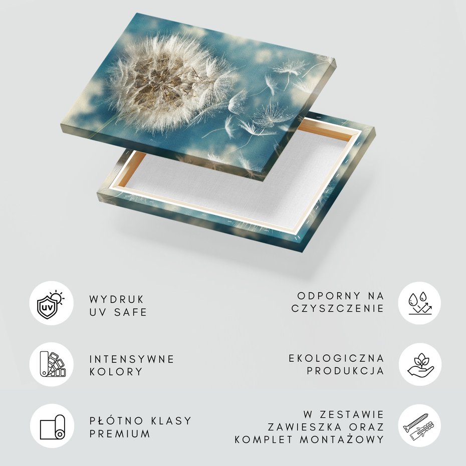 Obraz na płótnie - Dmuchawiec, Nasiona, Natura