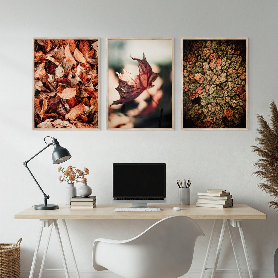 Zestaw obrazy w ramie, plakaty - liście,jesień,drzewa - rama drewno