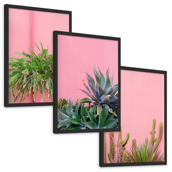 Zestaw obrazy w ramie, plakaty - rośliny, kaktusy, różowy - rama czarna