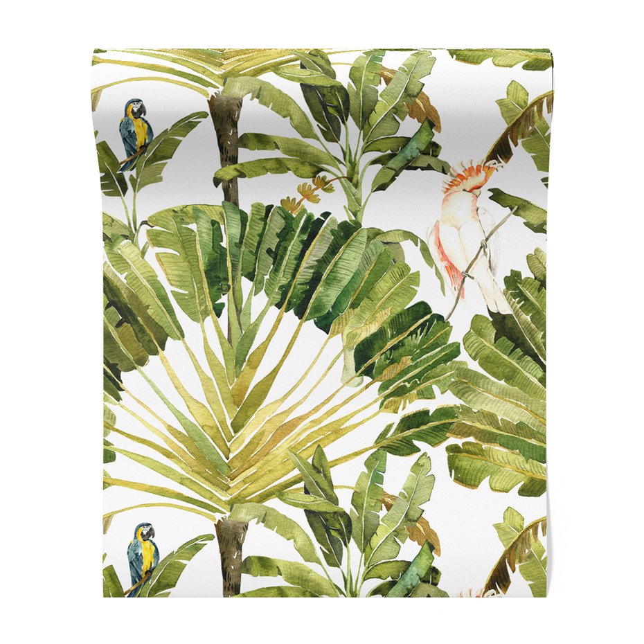 Tapeta - liście, papuga, tropiki