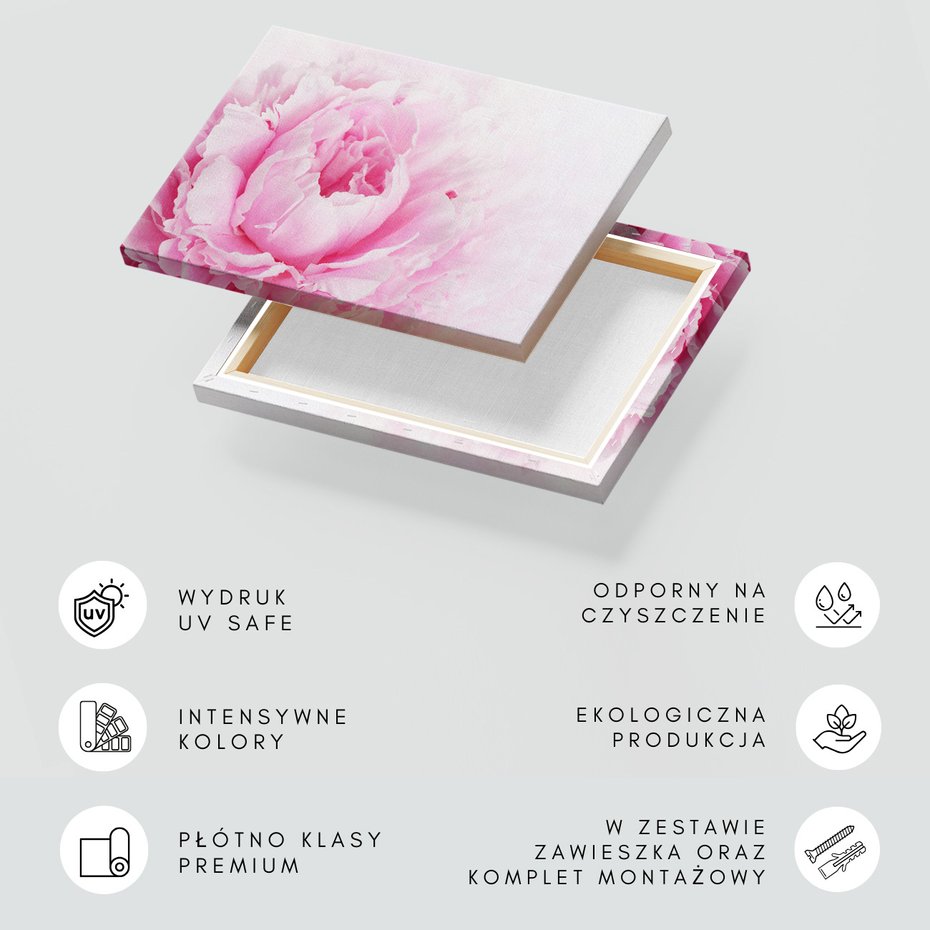 Obraz na płótnie - kwiat, płatki, różowy
