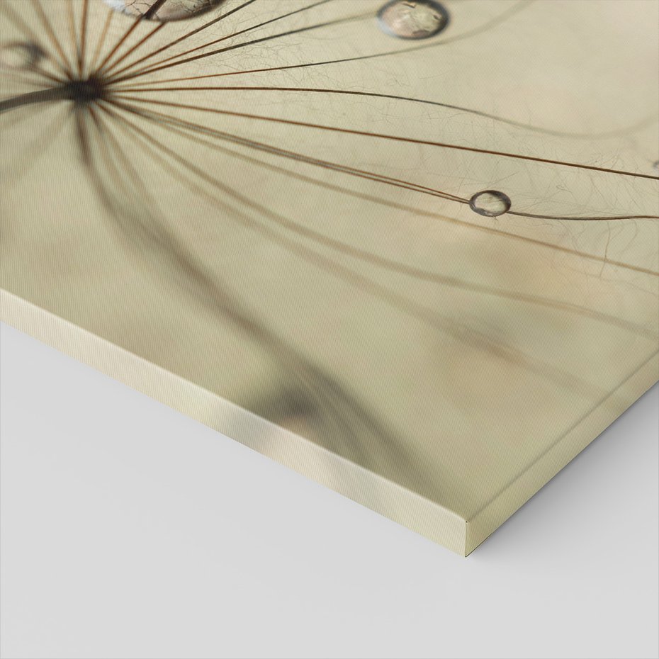 Obraz na płótnie - nasiona, krople, natura