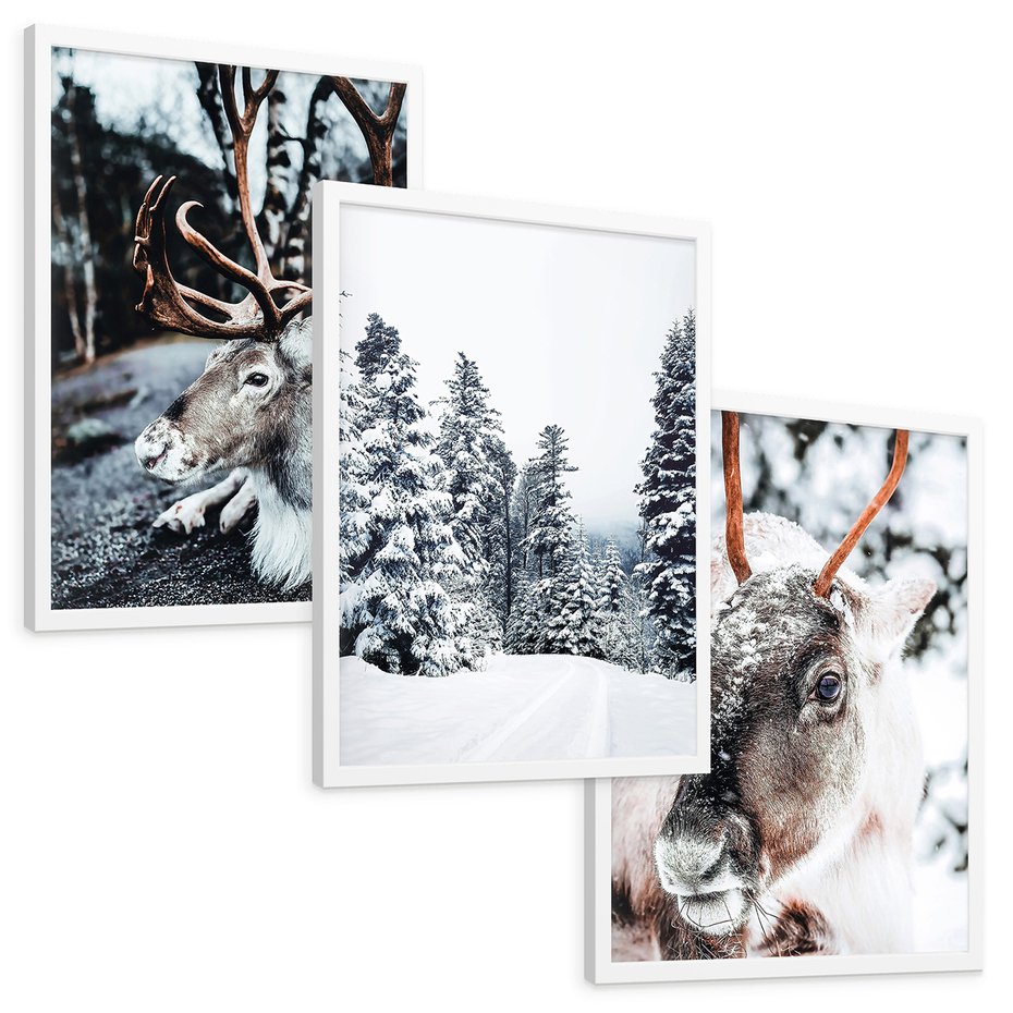 Zestaw obrazy w ramie, plakaty - renifer, zima, śnieg - rama biała