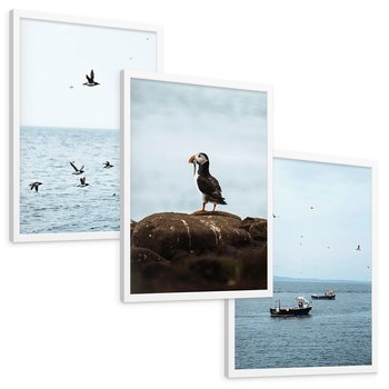 Zestaw obrazy w ramie, plakaty - ptaki, morze, łodzie - rama biała