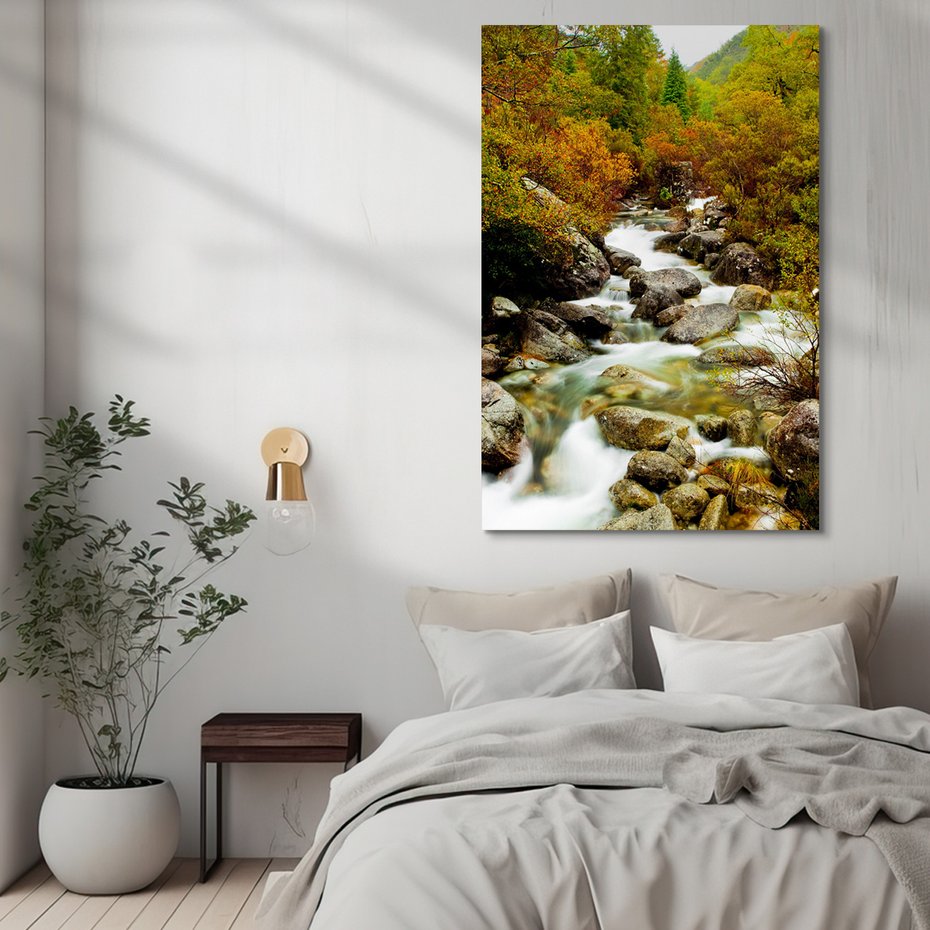 Obraz na płótnie - rzeka, las, kamienie