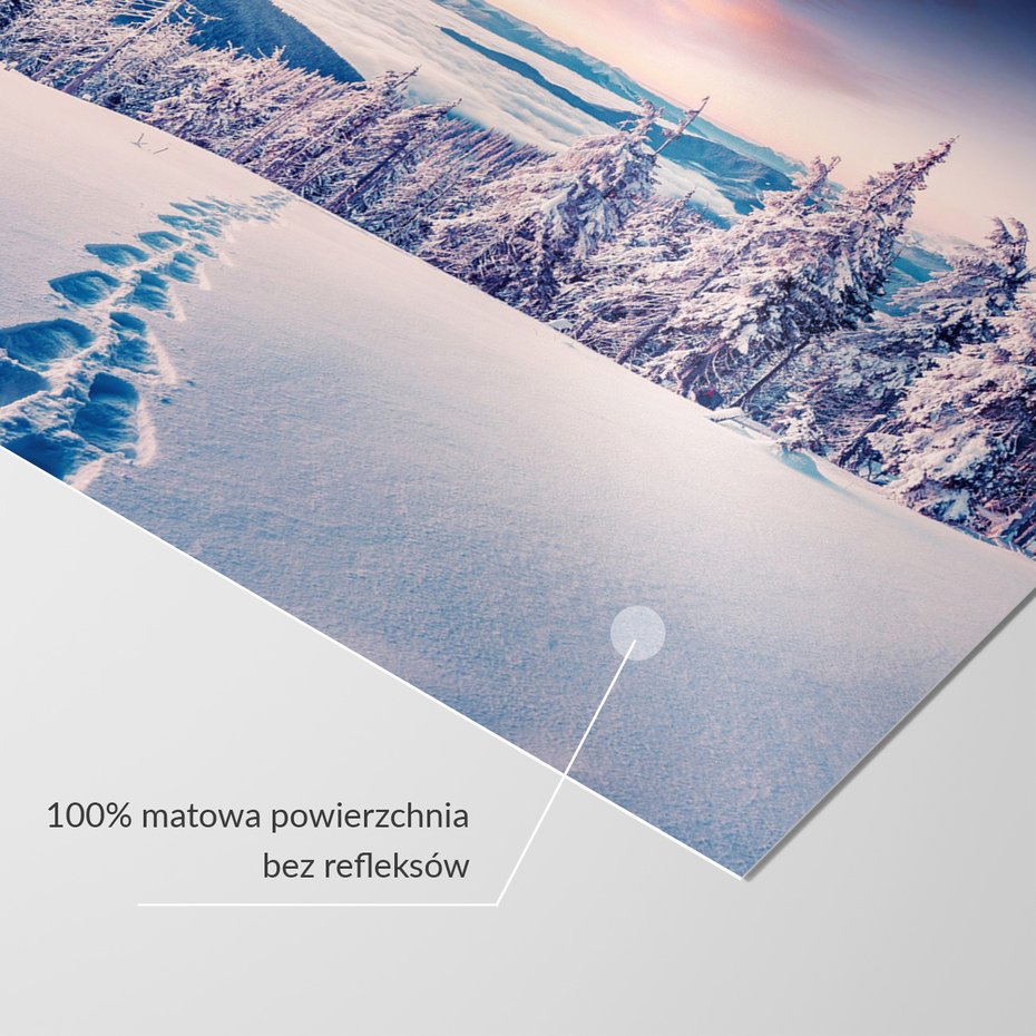 Fototapeta - zima, śnieg, las