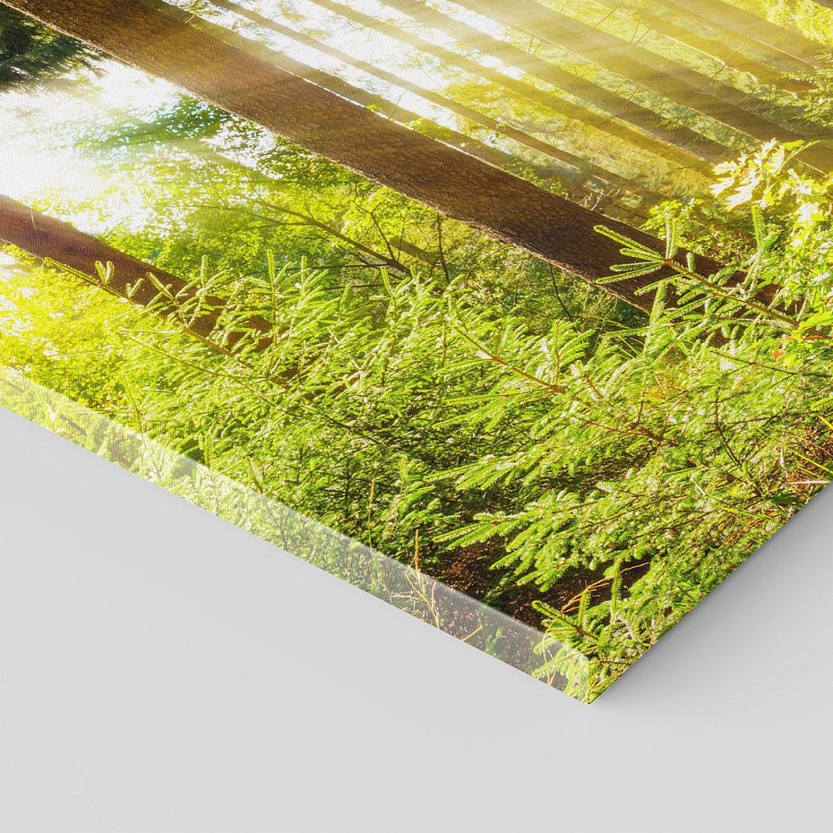 Obraz na płótnie - las, drzewa, natura