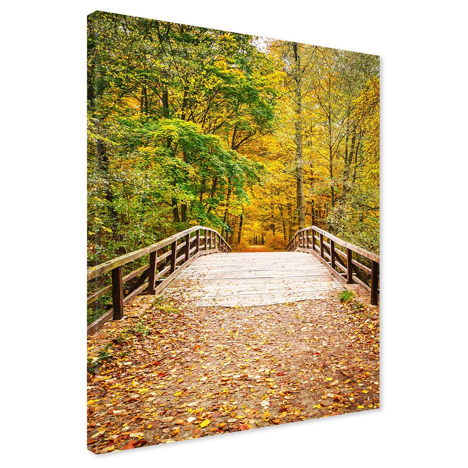Obraz na płótnie - jesień, most, liście