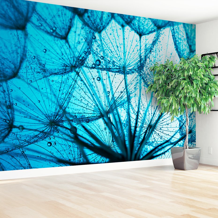 Fototapeta - dandelion, nasiona, krople