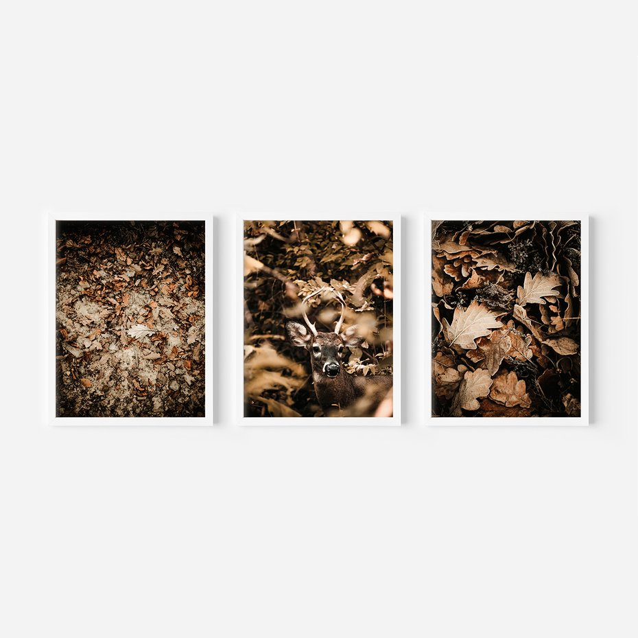 Zestaw obrazy w ramie, plakaty - liście,jeleń,las - rama biała