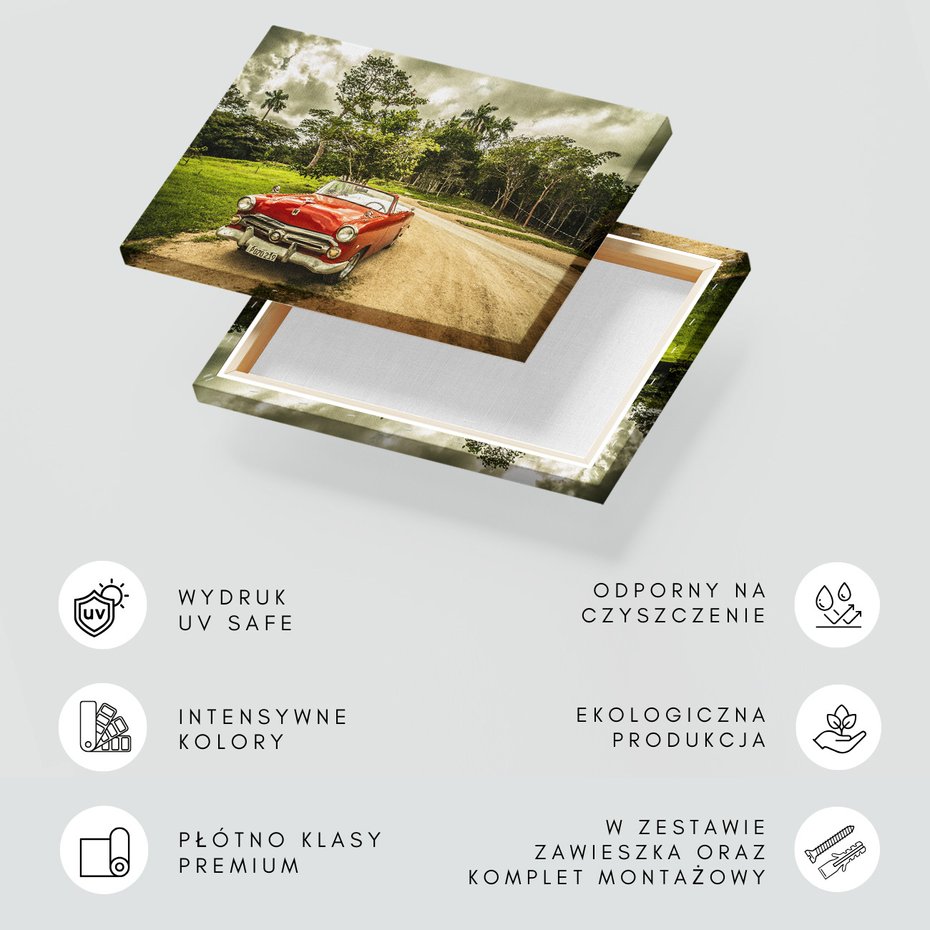 Obraz na płótnie - samochód, vintage, natura