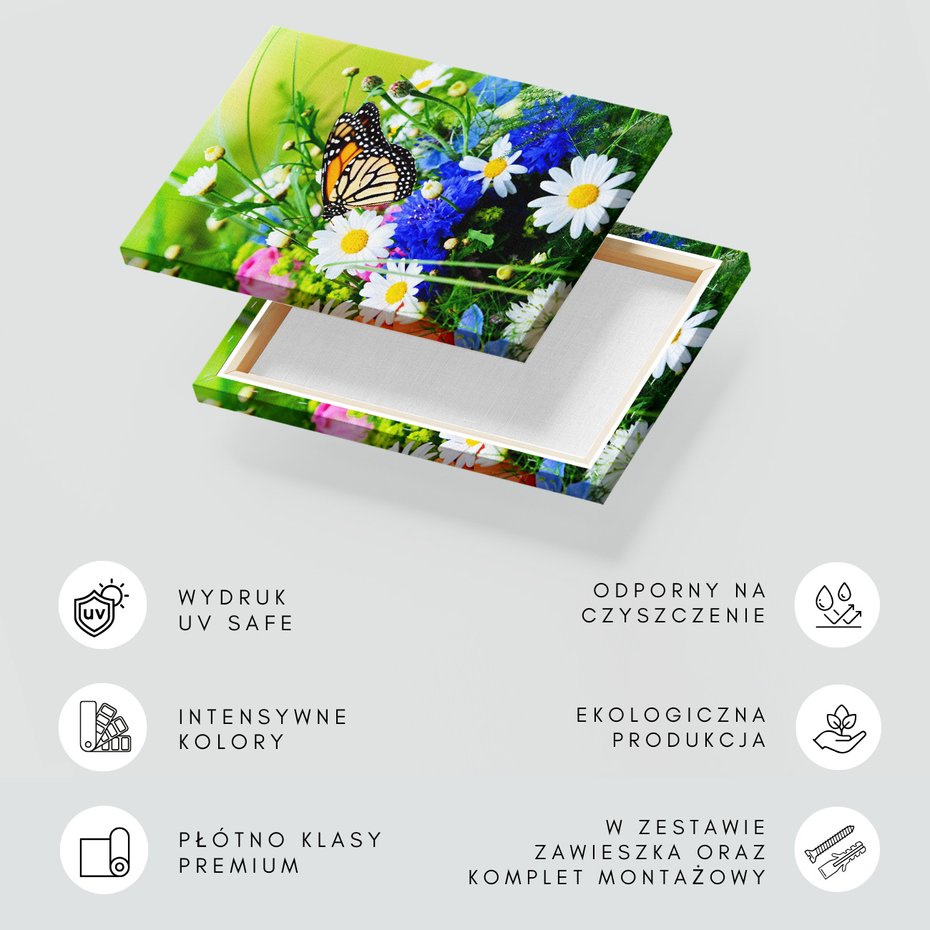 Obraz na płótnie - motyl, kwiaty, natura