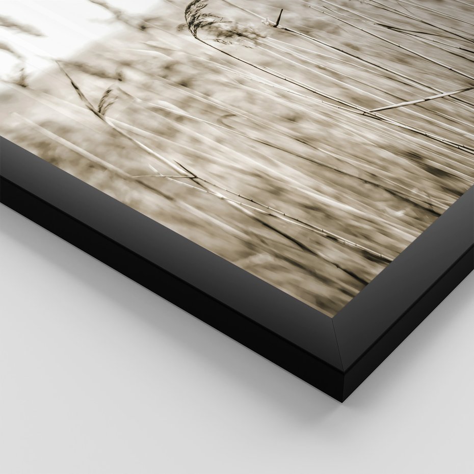 Zestaw obrazy w ramie, plakaty - natura, dom, rośliny - rama czarna