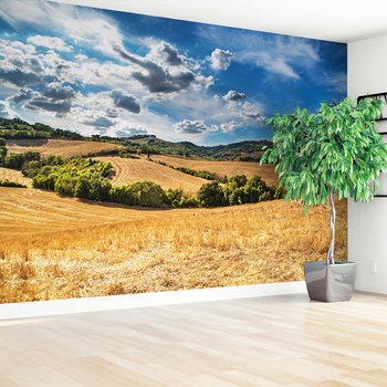 Fototapeta - krajobraz, pola, niebo