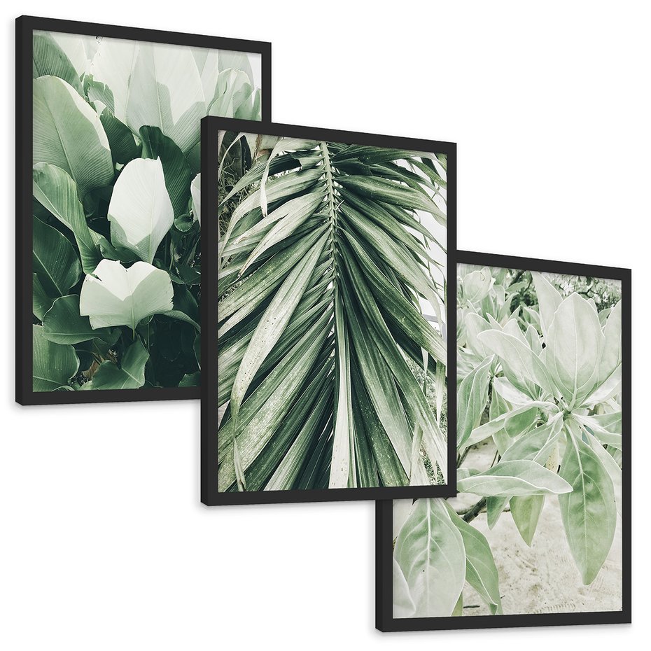 Zestaw obrazy w ramie, plakaty - liście, tropikalne, roślina - rama czarna