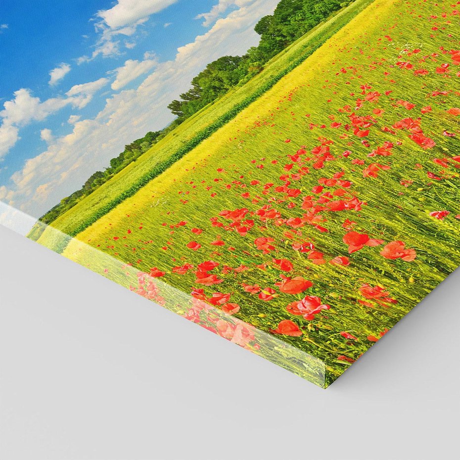 Obraz na płótnie - łąka, kwiaty, niebo