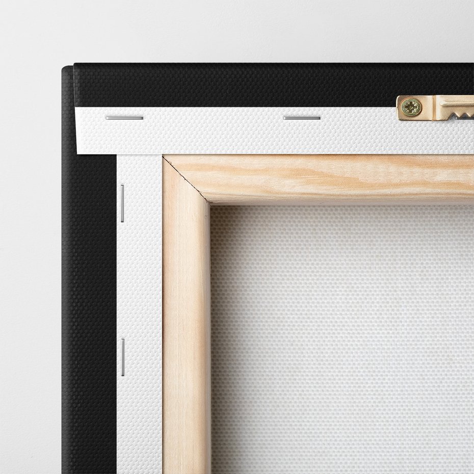 Obraz na płótnie - dandelion, nasiona, natura