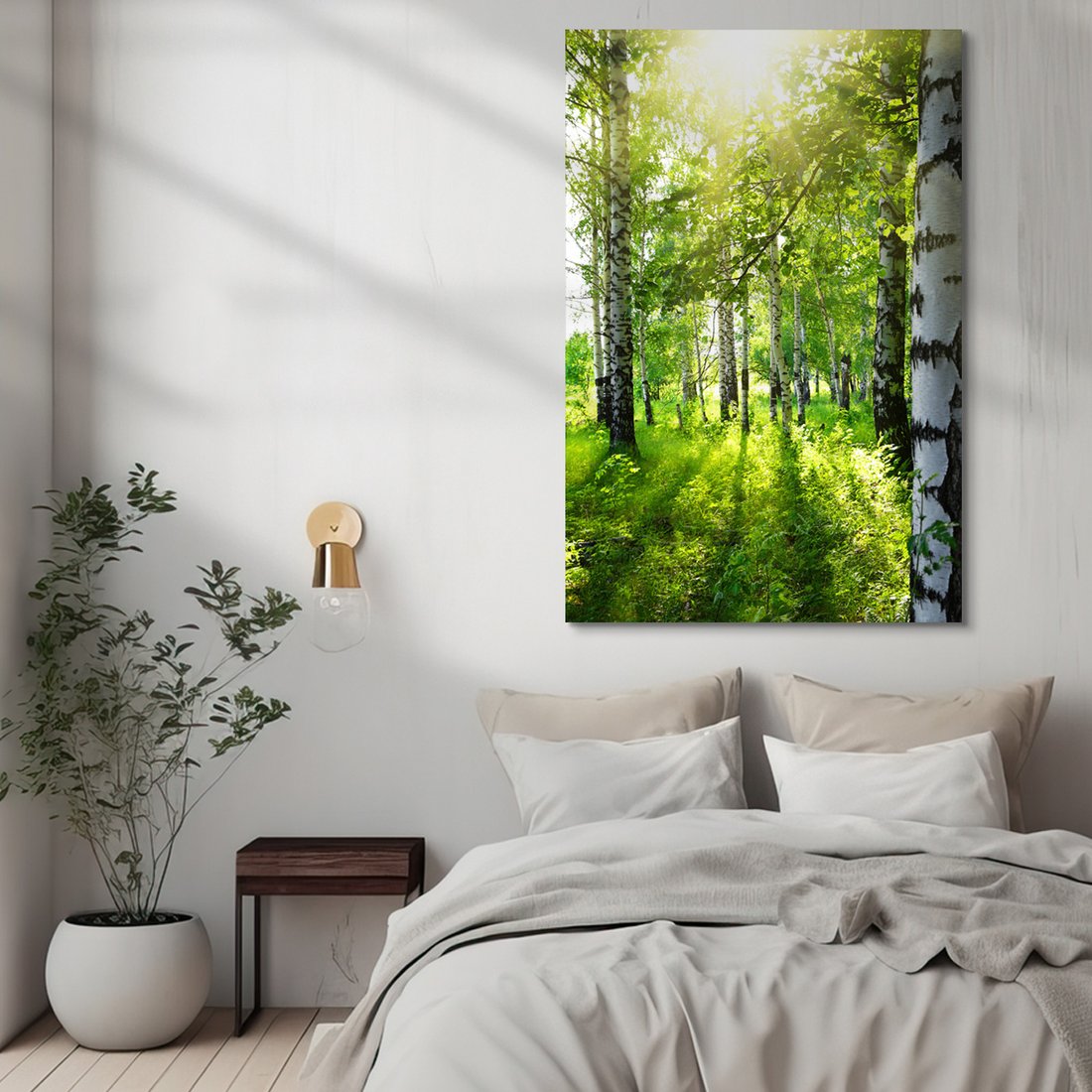 Obraz na płótnie - las, brzozy, natura