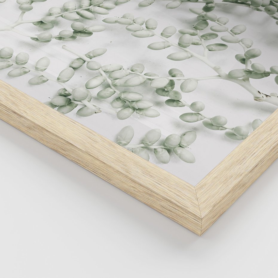 Zestaw obrazy w ramie, plakaty - liście, roślina, gałązka - rama drewno