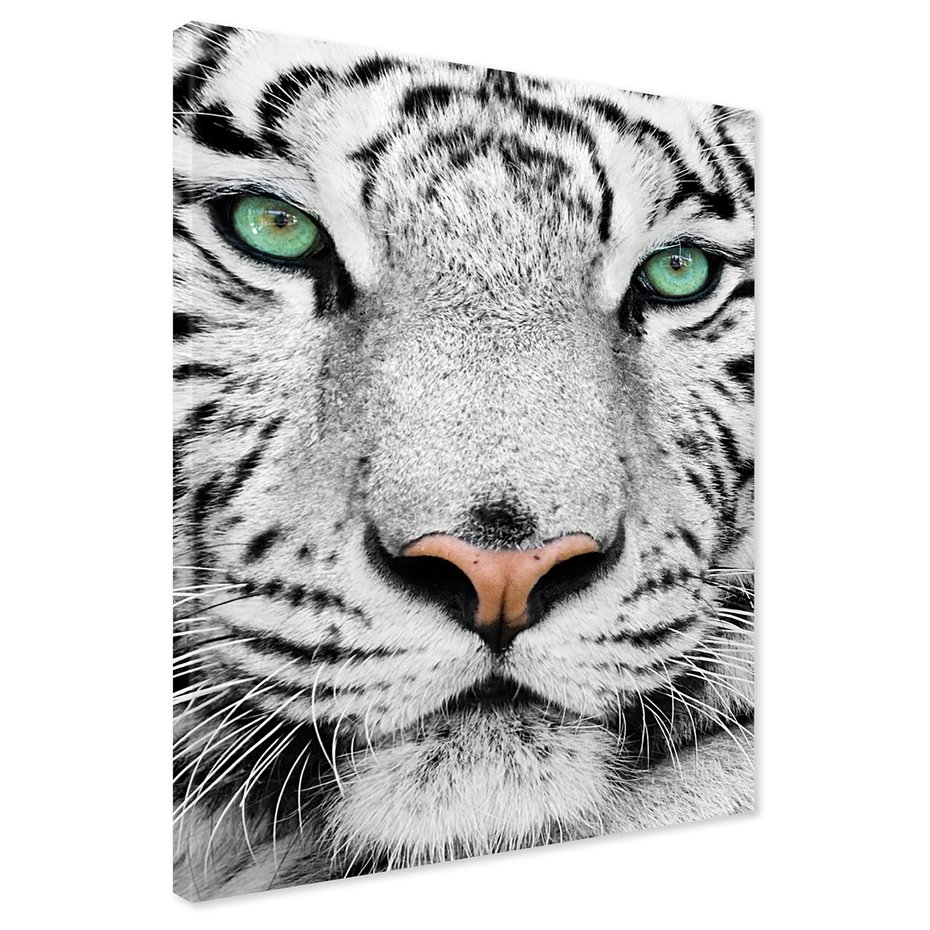 Obraz na płótnie - tygrys, biały, zwierzę