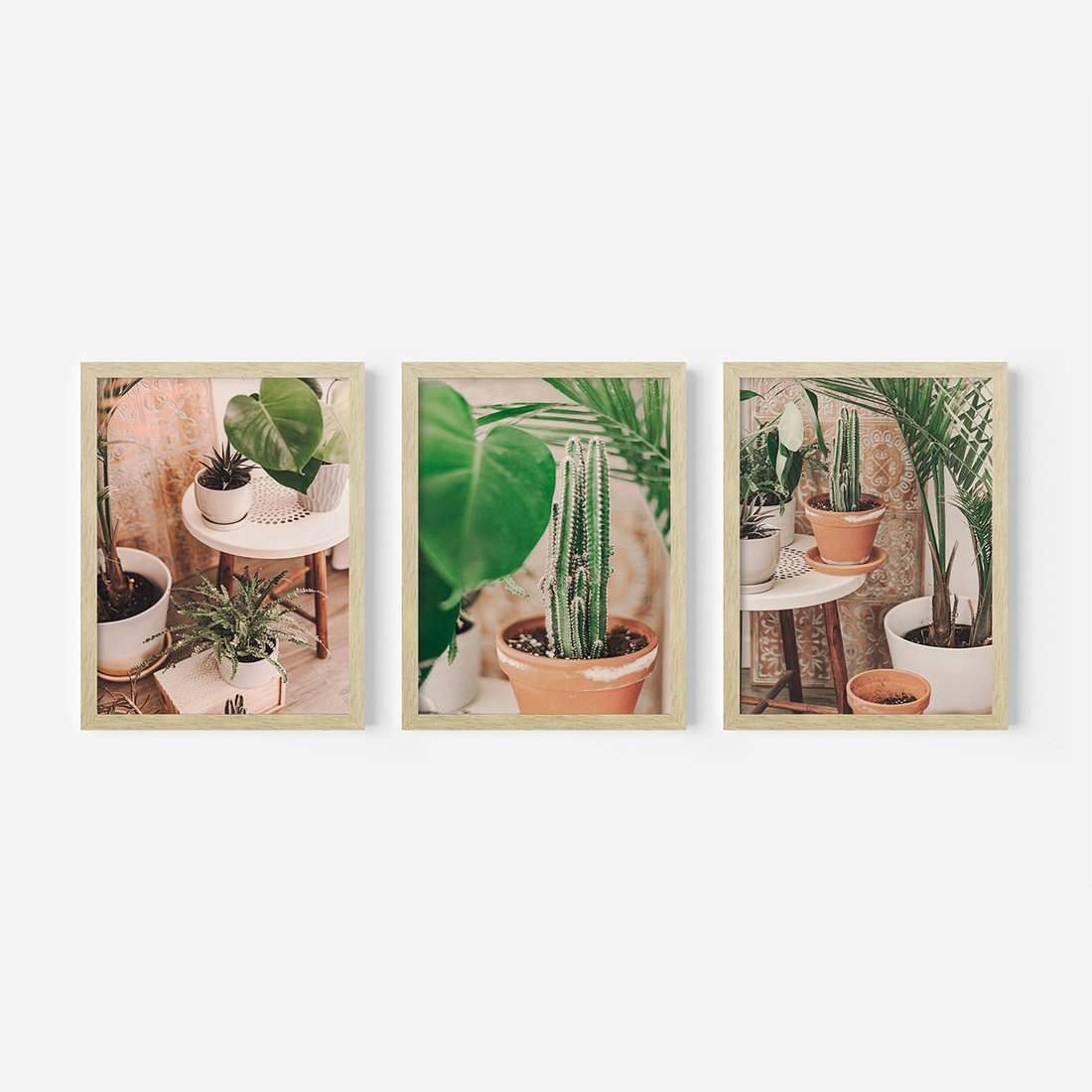 Zestaw obrazy w ramie, plakaty - rośliny, doniczki, wnętrze - rama drewno