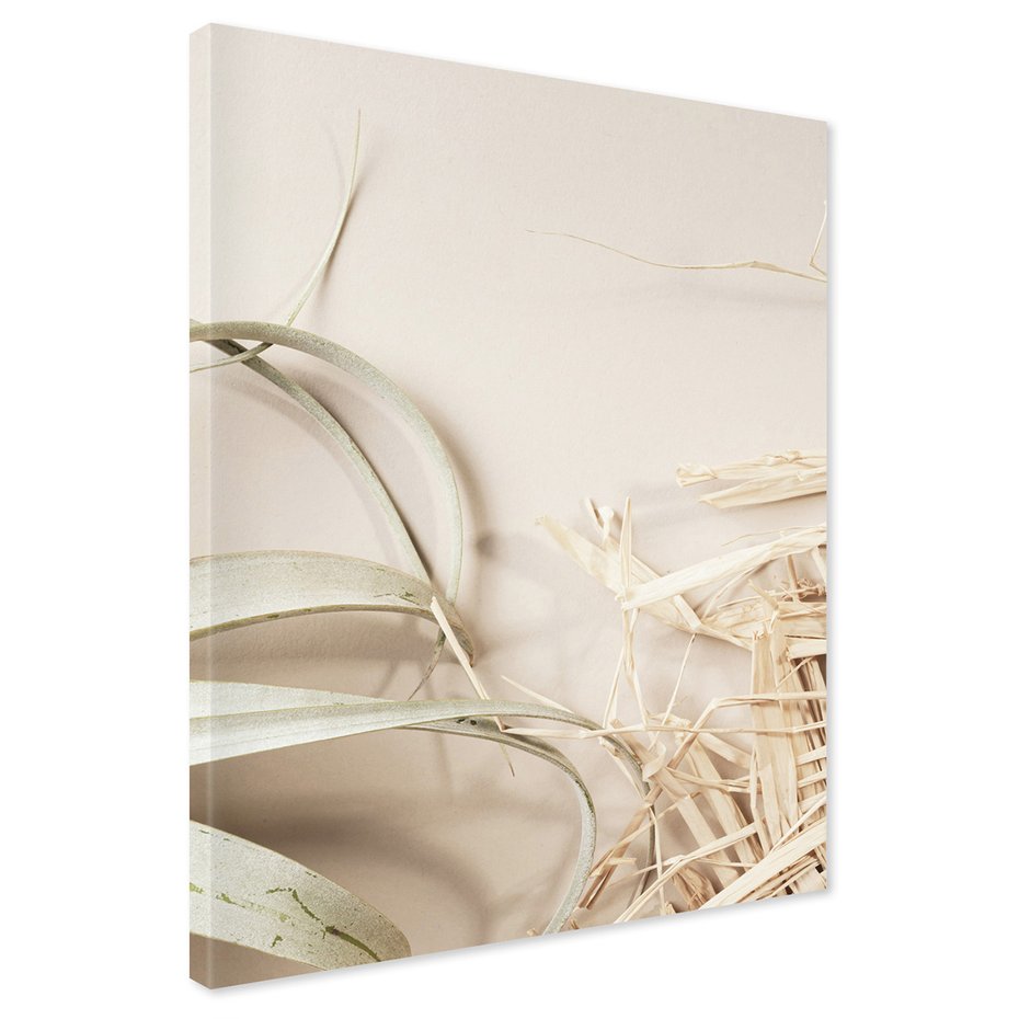 Obraz na płótnie - roślina, liście, kompozycja