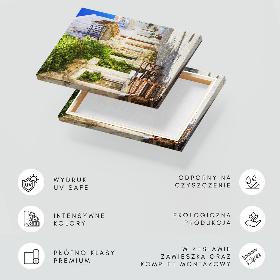 Obraz na płótnie - uliczka, miasto, roślinność