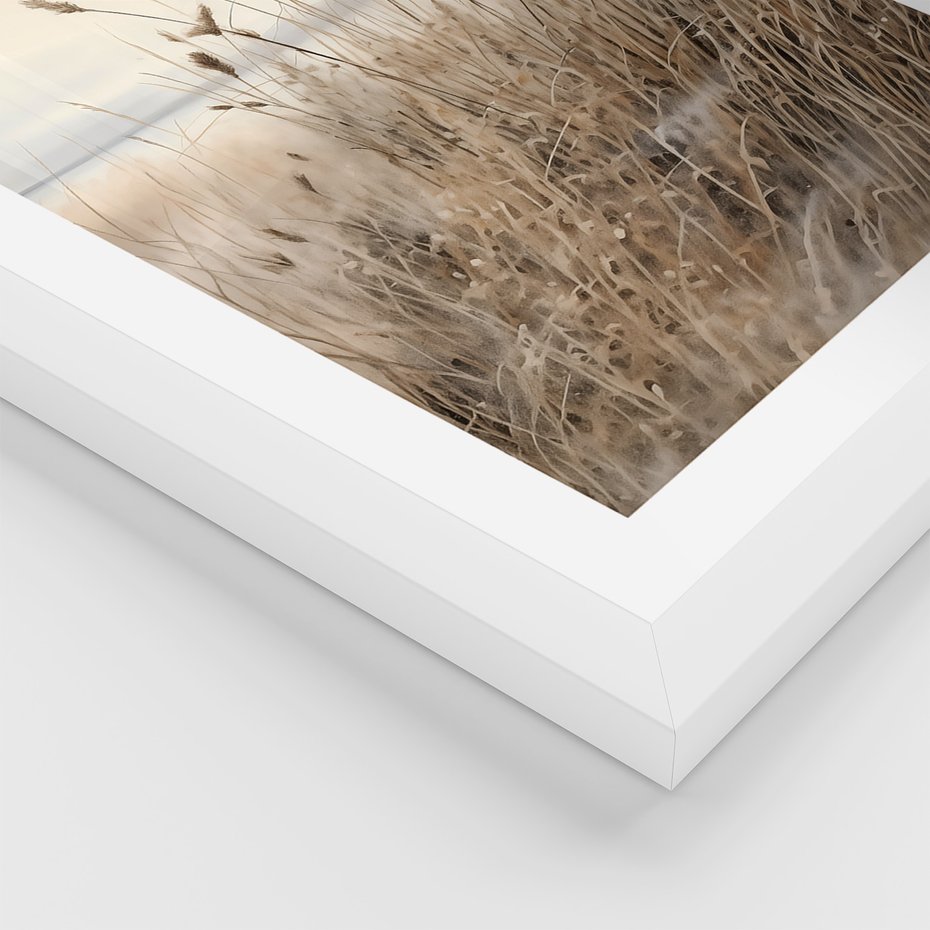 Zestaw obrazy w ramie, plakaty - kwiaty, trawa, delikatne - rama biała