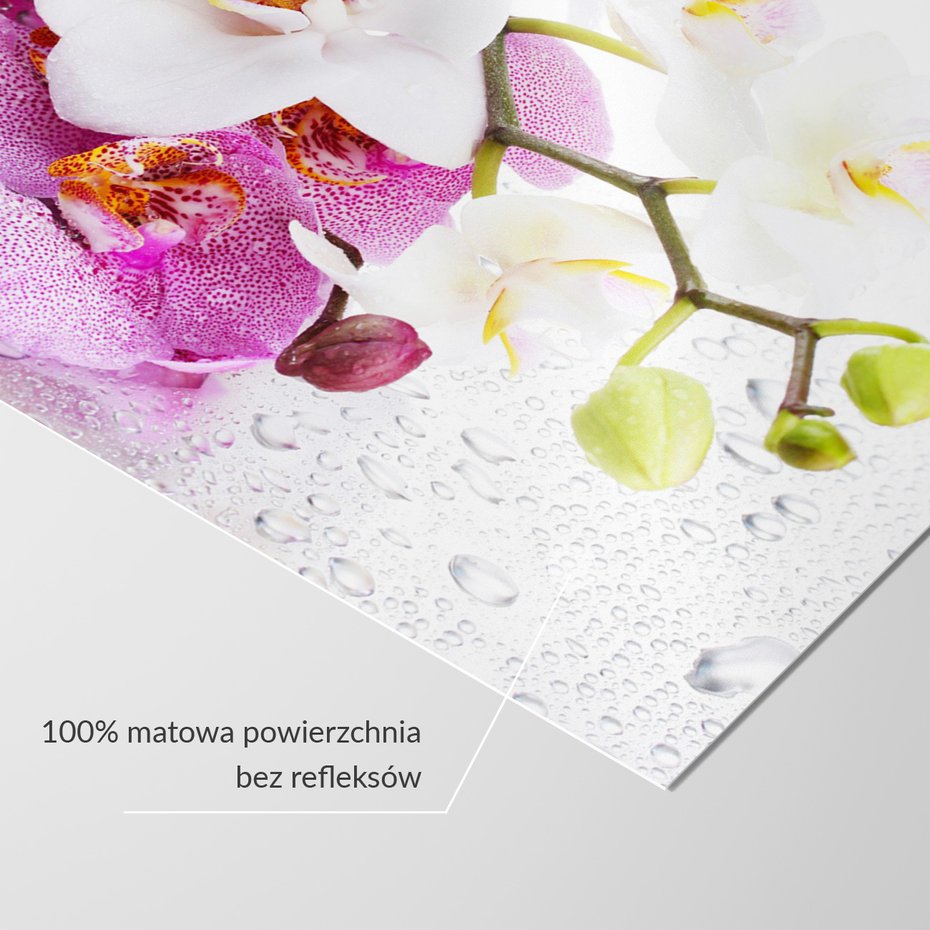 Fototapeta - kwiaty, orchidee, krople