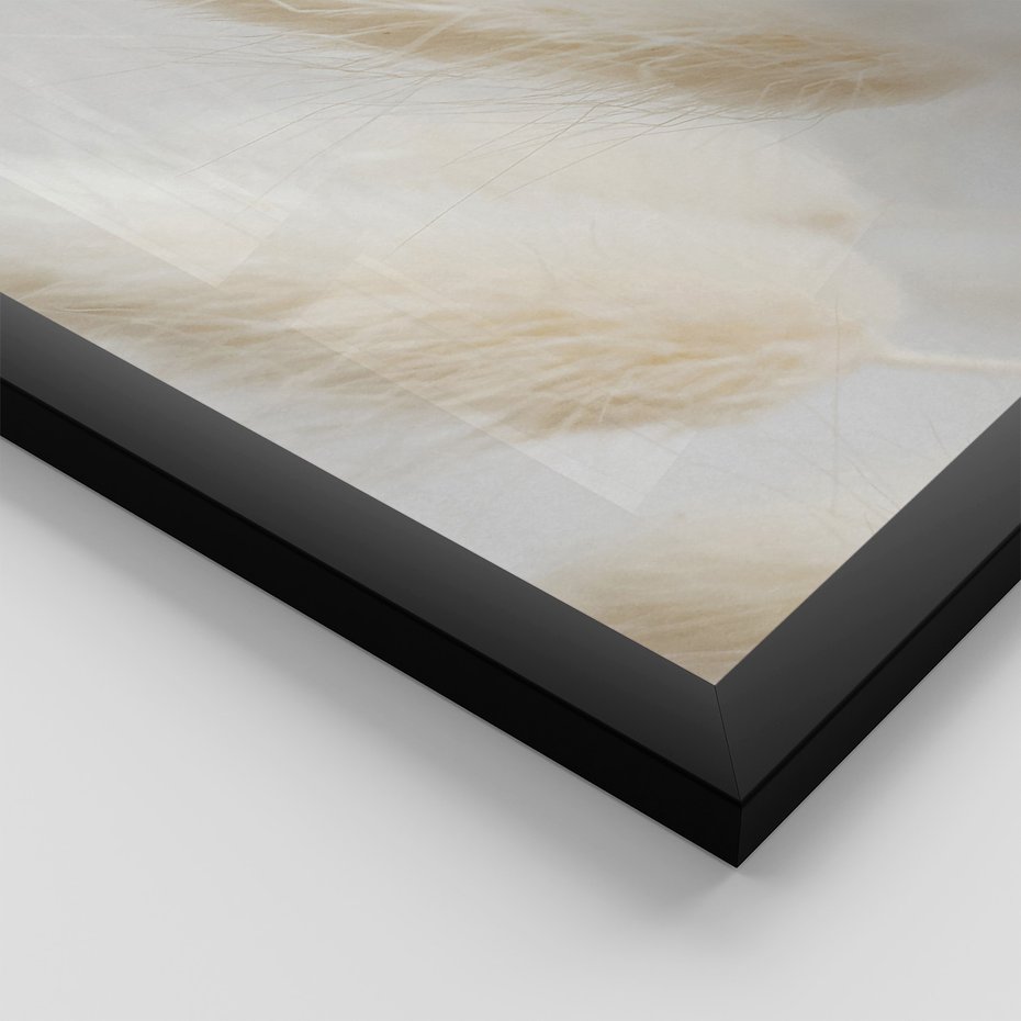 Zestaw obrazy w ramie, plakaty - bawełna, trawa, puszysty - rama czarna