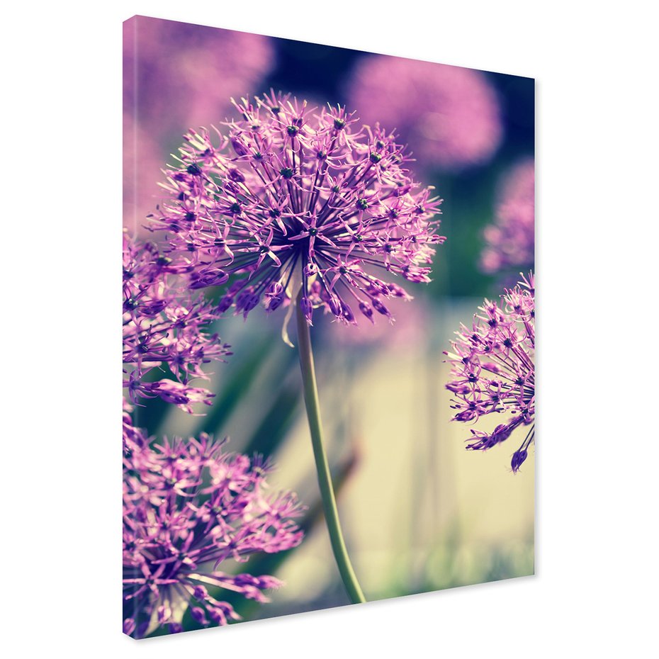 Obraz na płótnie - kwiaty, fioletowe, zbliżenie