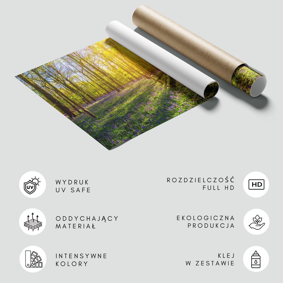 Fototapeta - las, kwiaty, słońce