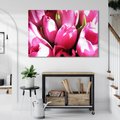 Obraz na płótnie - tulipany, kwiaty, różowe