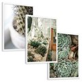 Zestaw obrazy w ramie, plakaty - kaktus, sukulenty, rośliny - rama biała
