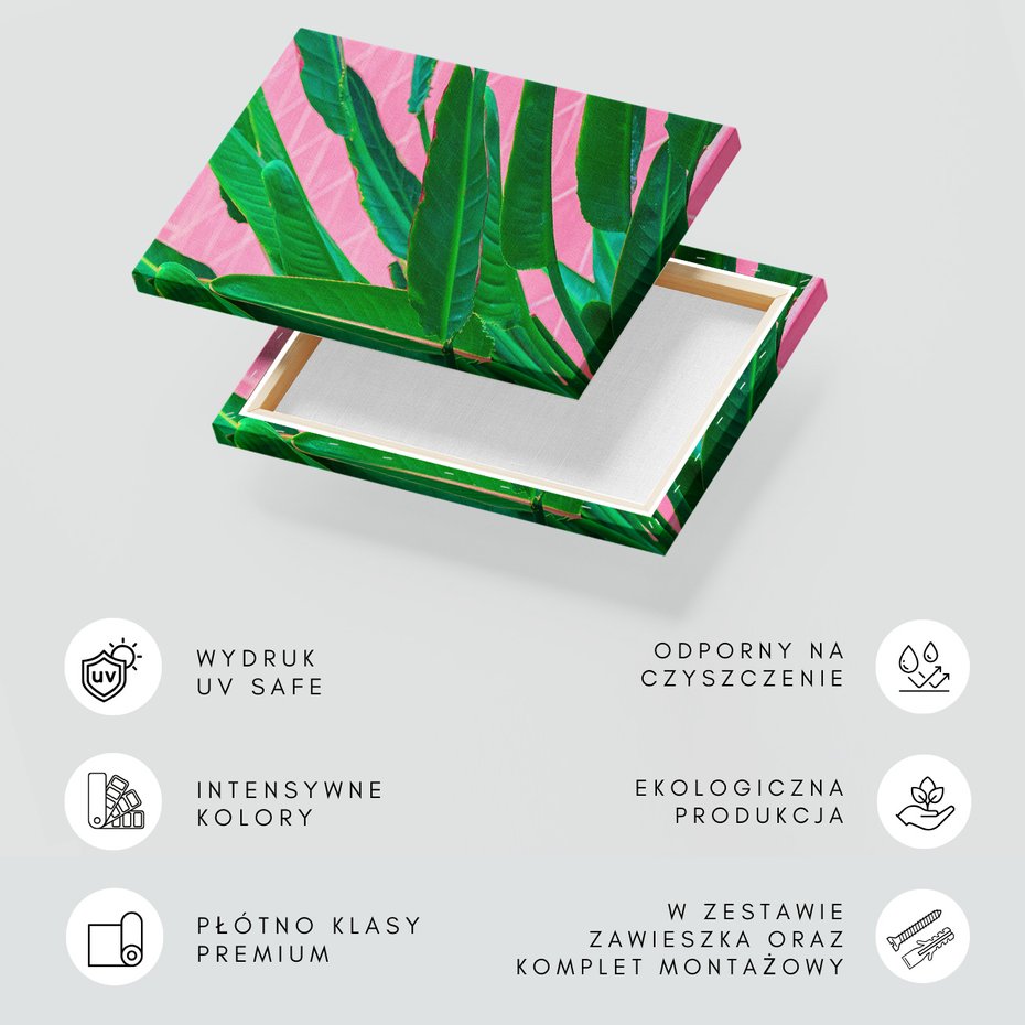 Obraz na płótnie - liście, roślina, różowy