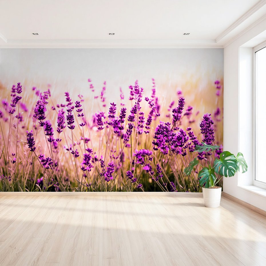 Fototapeta - lawenda, kwiaty, natura