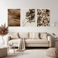 Zestaw obrazy w ramie, plakaty - rośliny, cienie, susz - rama biała