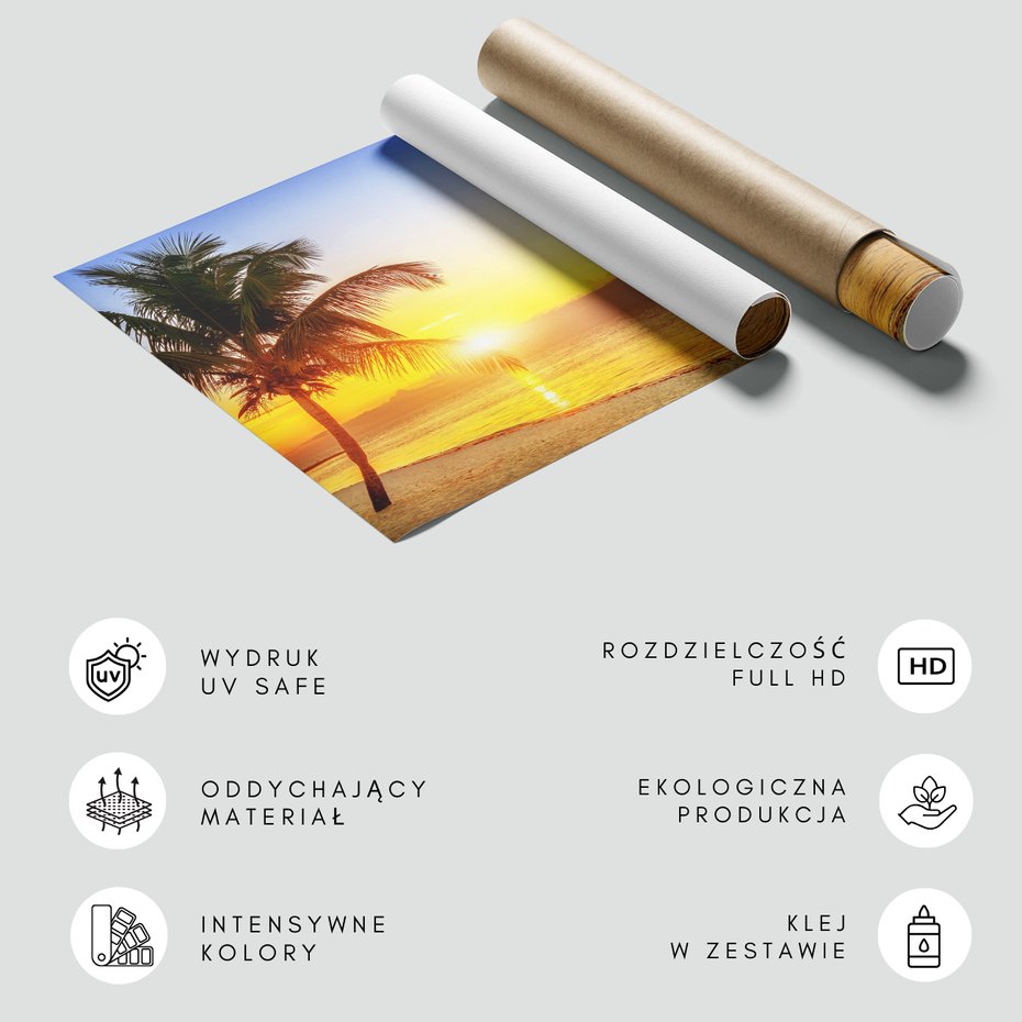 Fototapeta - palma, morze, zachód słońca