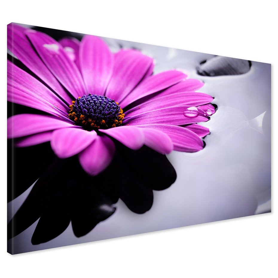 Obraz na płótnie - kwiat, fioletowy, woda