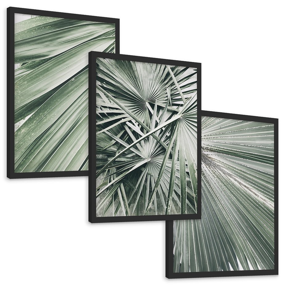 Zestaw obrazy w ramie, plakaty - liście palmowe, rośliny, natura - rama czarna