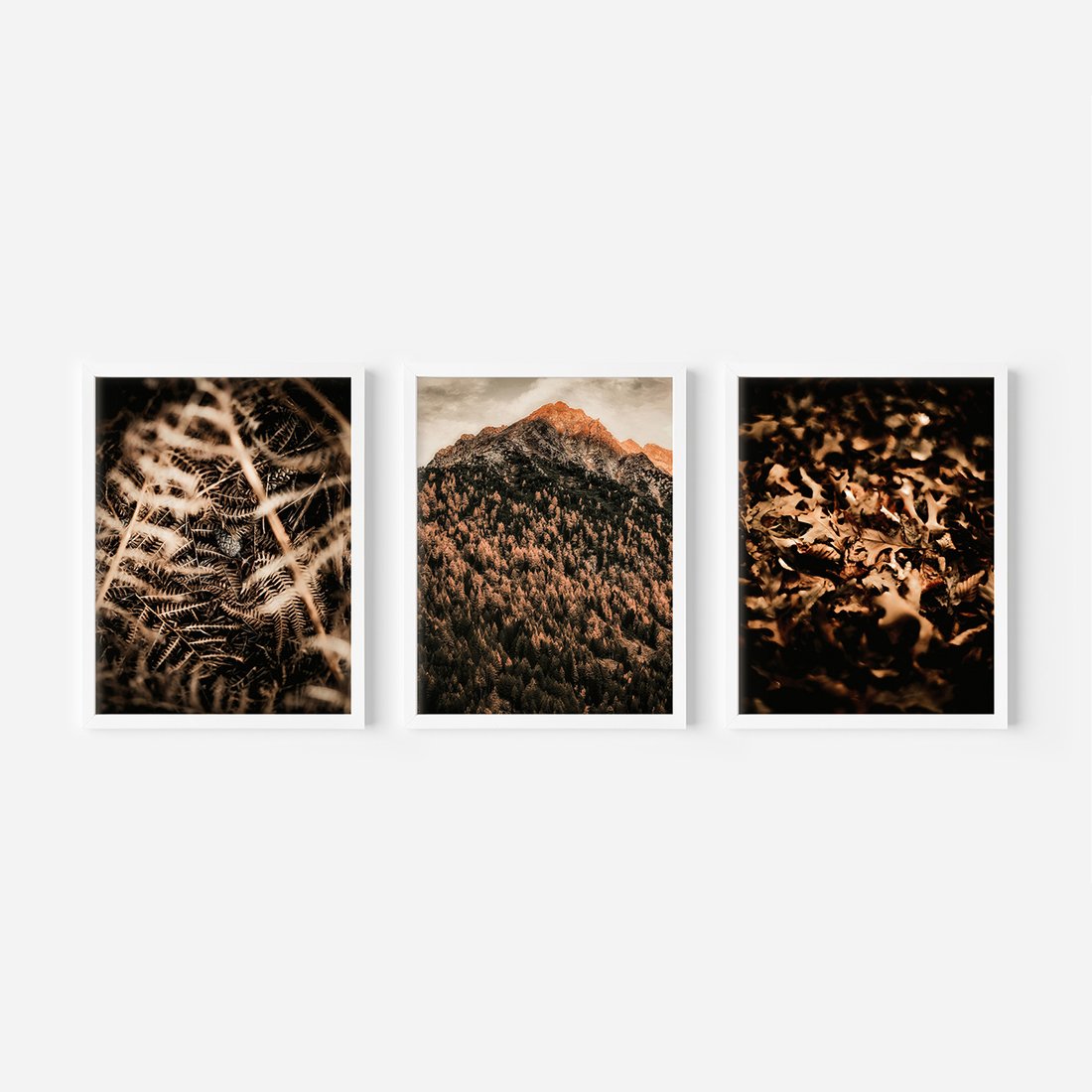 Zestaw obrazy w ramie, plakaty - natura, liście, góry - rama biała