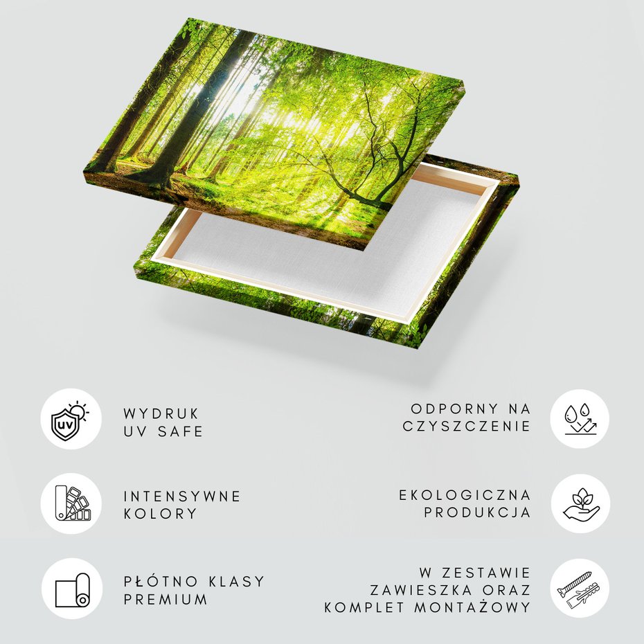 Obraz na płótnie - las, drzewa, przyroda