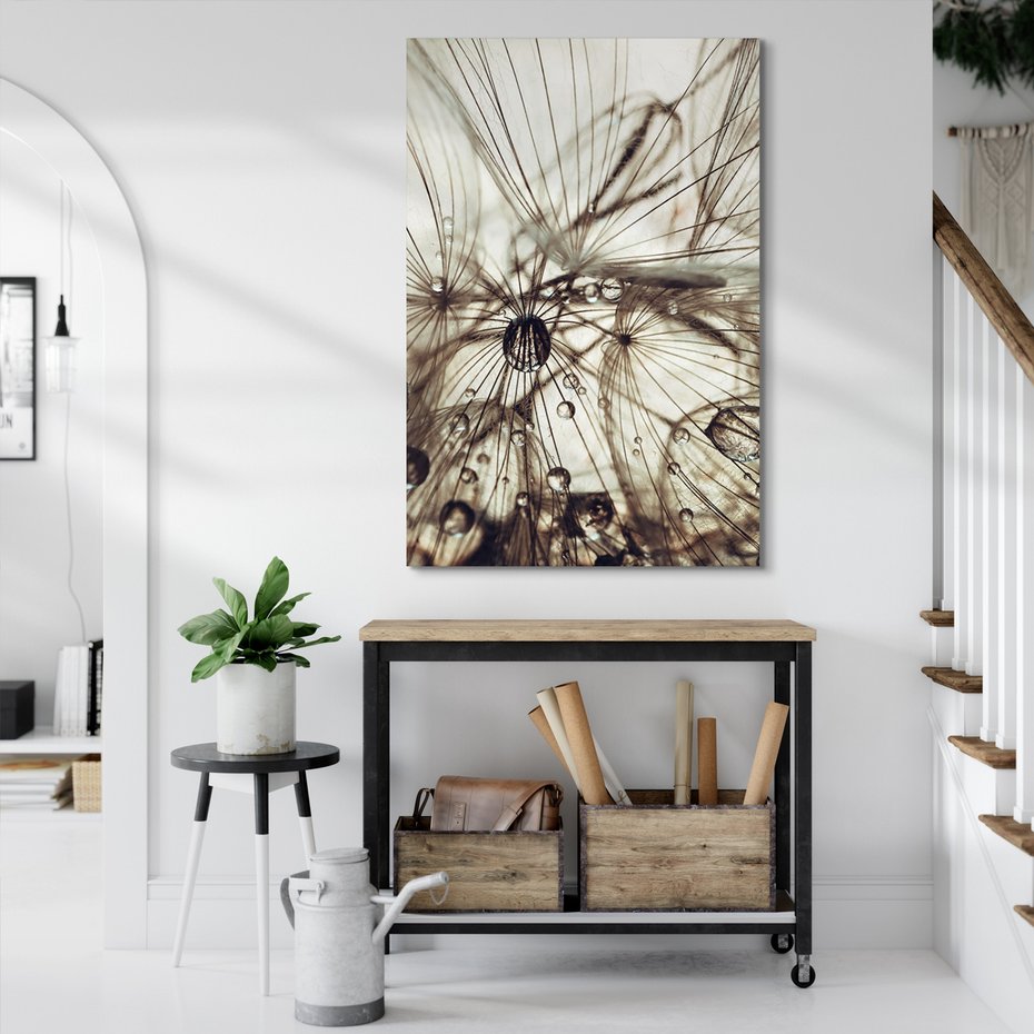 Obraz na płótnie - makro, krople, nasiona