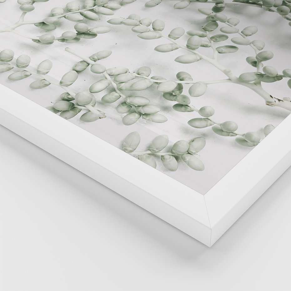 Zestaw obrazy w ramie, plakaty - liście, roślina, gałązka - rama biała