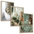 Zestaw obrazy w ramie, plakaty - kaktus, sukulenty, rośliny - rama drewno