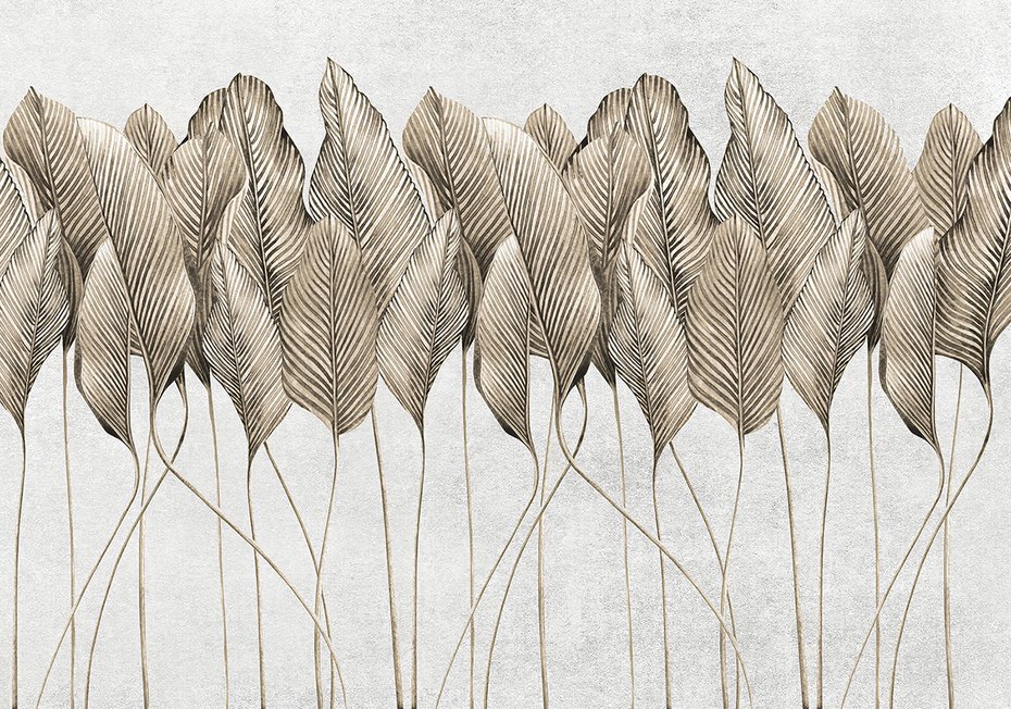 Fototapeta - beton, duże, liście