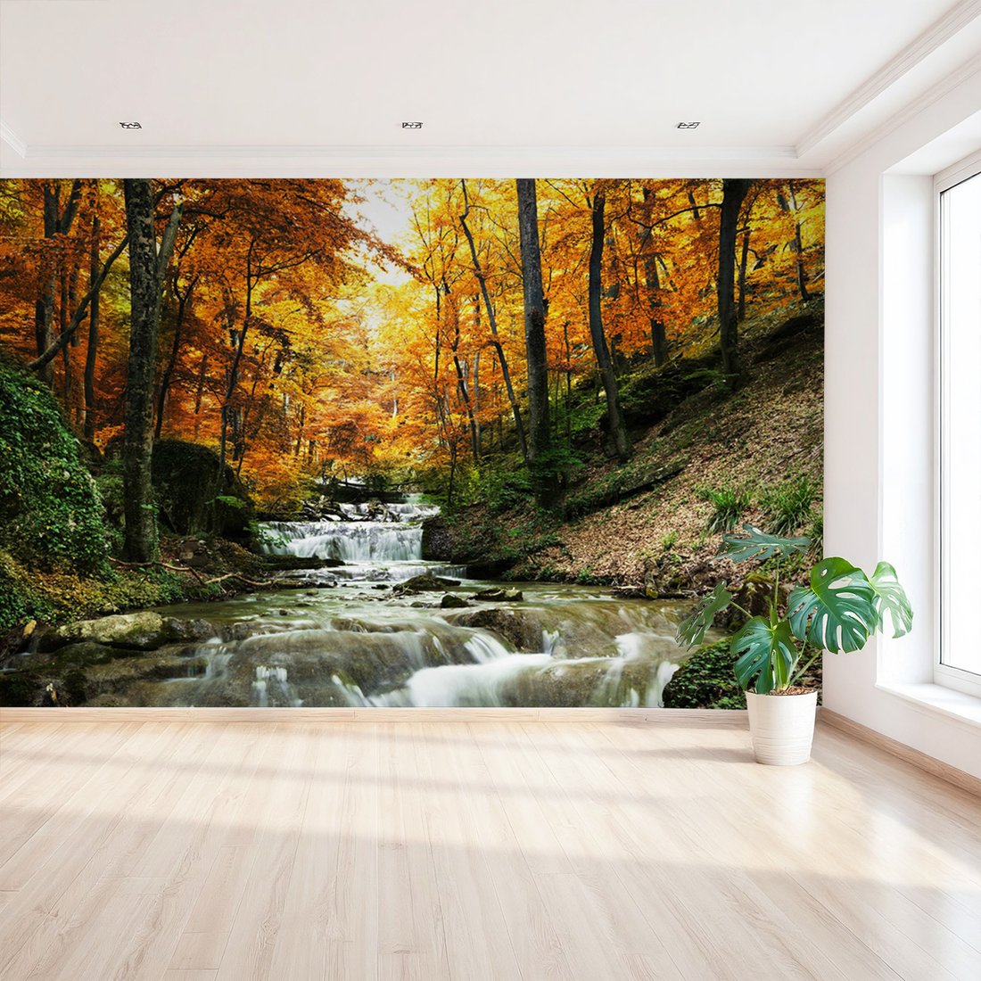 Fototapeta - jesień, las, wodospad