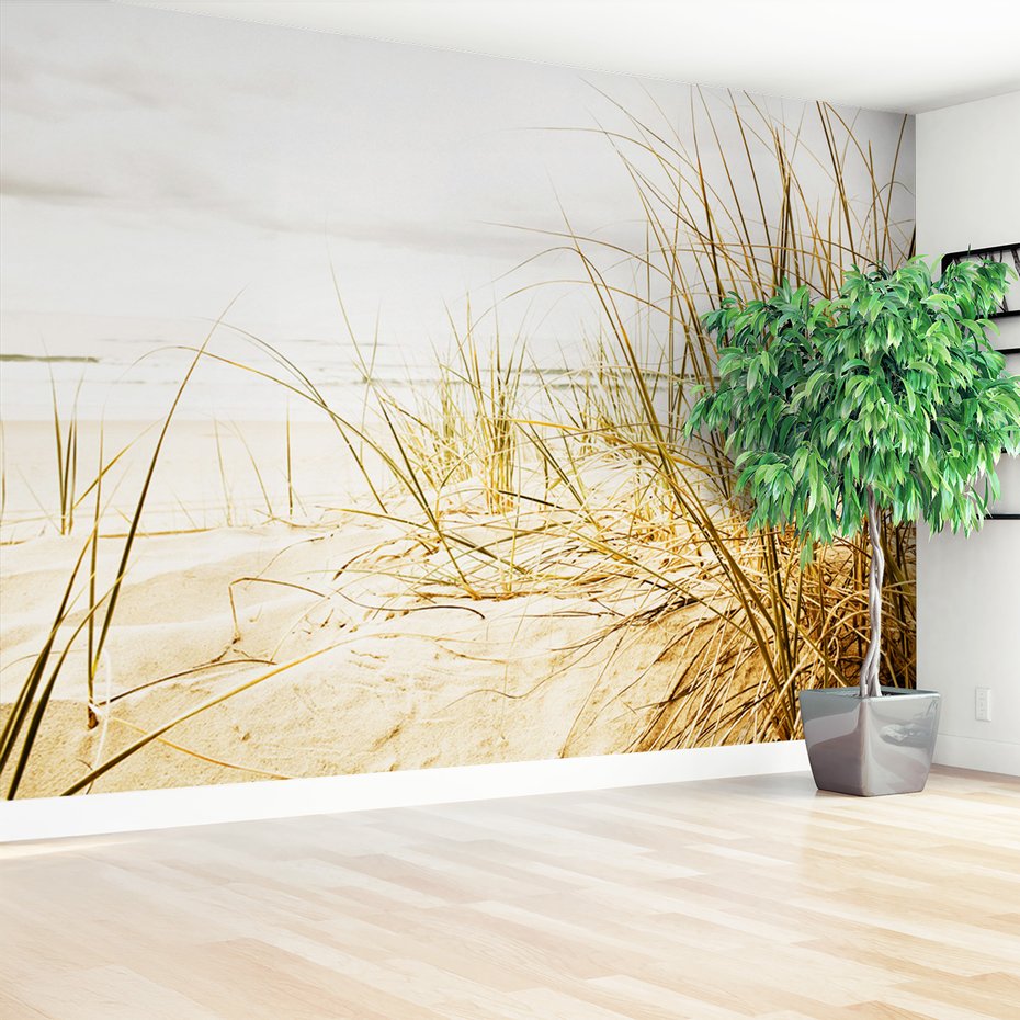 Fototapeta - plaża, piasek, trawa