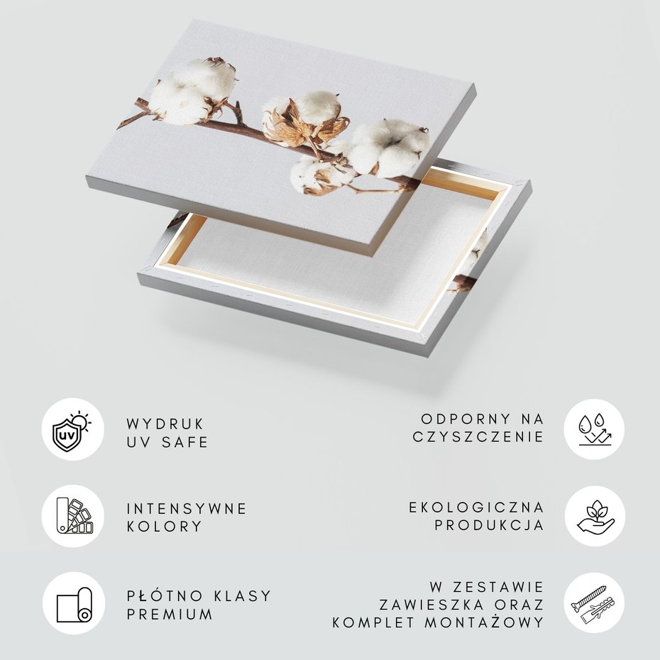 Obraz na płótnie - bawełna, roślina, biel