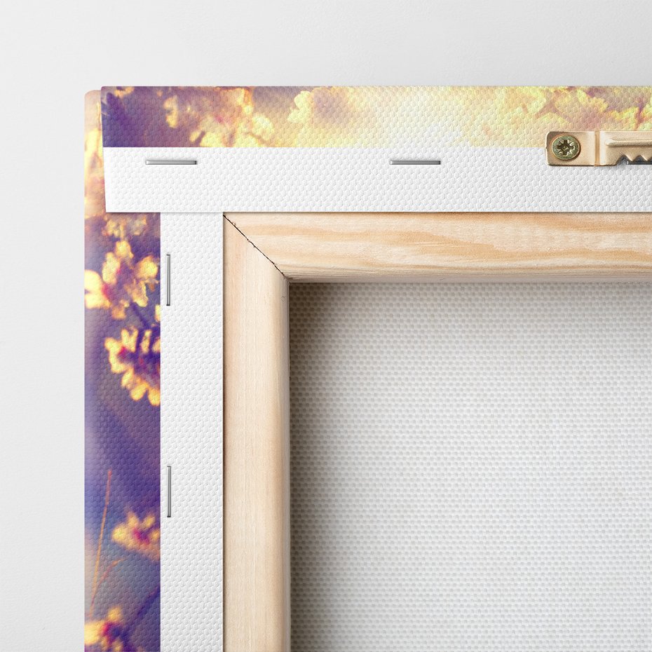 Obraz na płótnie - kwiaty, wiosna, słońce